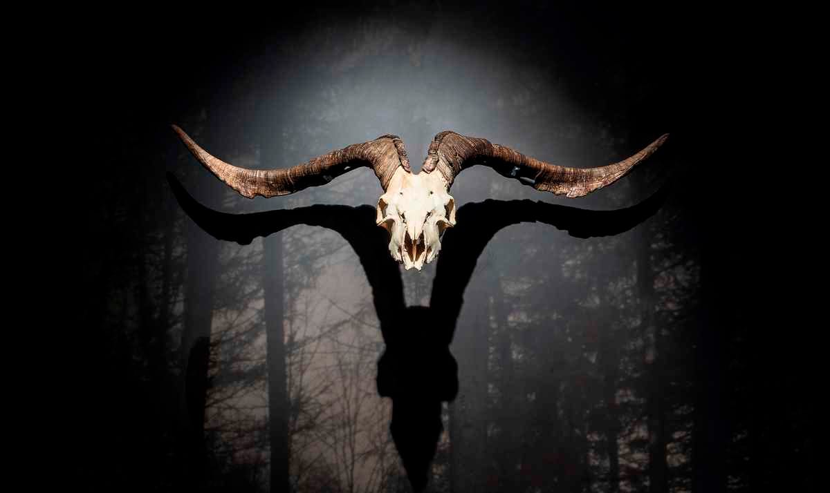 aker-museo-de-las-brujas-zugarramurdi Cornamenta de macho cabrío en la pared del Museo de Las Brujas de Zugarramurdi